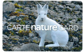 Jacket cover: Carte nature