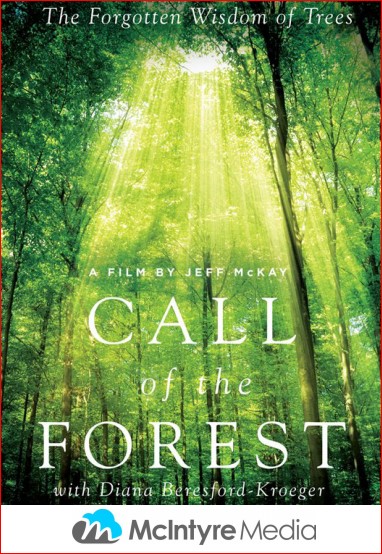 Image: Call of the Forest